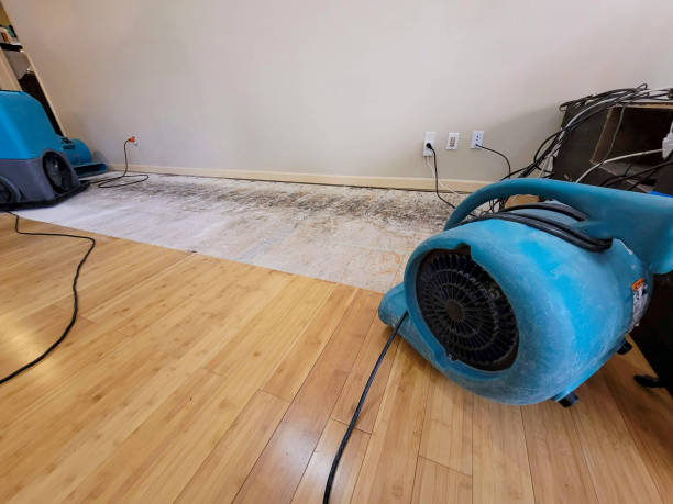 Professional Sewage Cleanup technician working in Westcliffe, CO